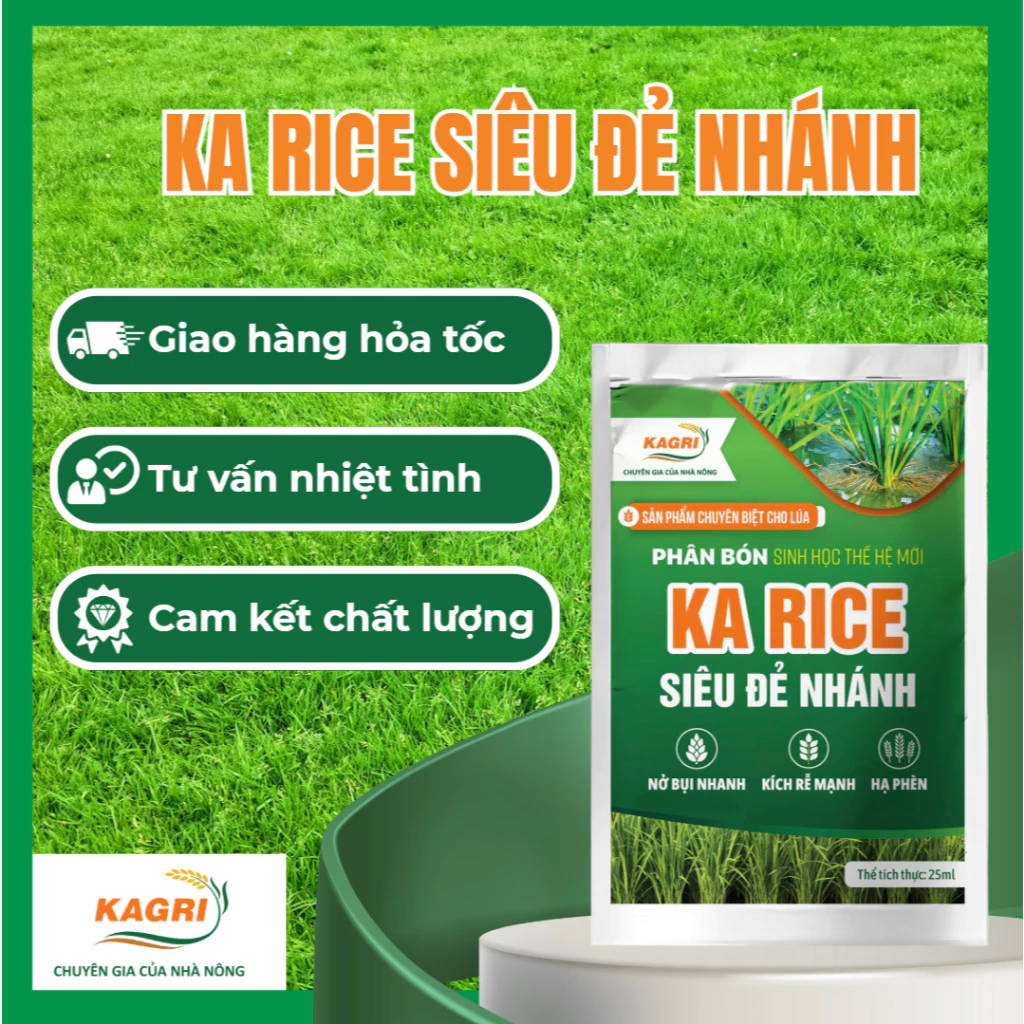 Làm thế nào để cây lúa phát triển nhanh và khỏe mạnh với phân bón sinh học siêu đẻ nhánh?