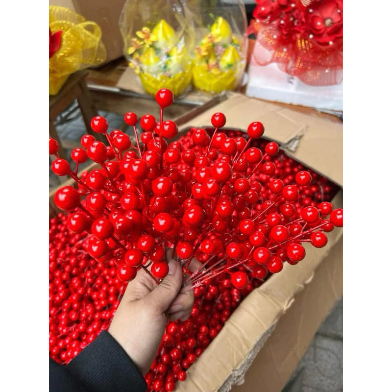 Làm thế nào để cây đào đông đỏ không bị héo sau vài ngày và bí quyết chăm sóc cây đào đông cho người mới bắt đầu