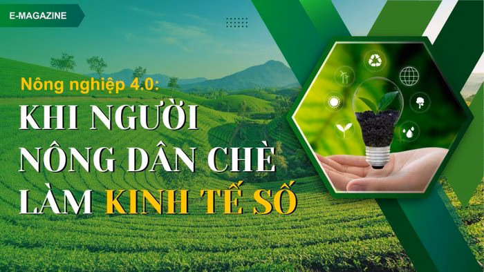 Nông nghiệp 4.0: Cách mạng số biến chè Thái Nguyên thành thương hiệu toàn cầu