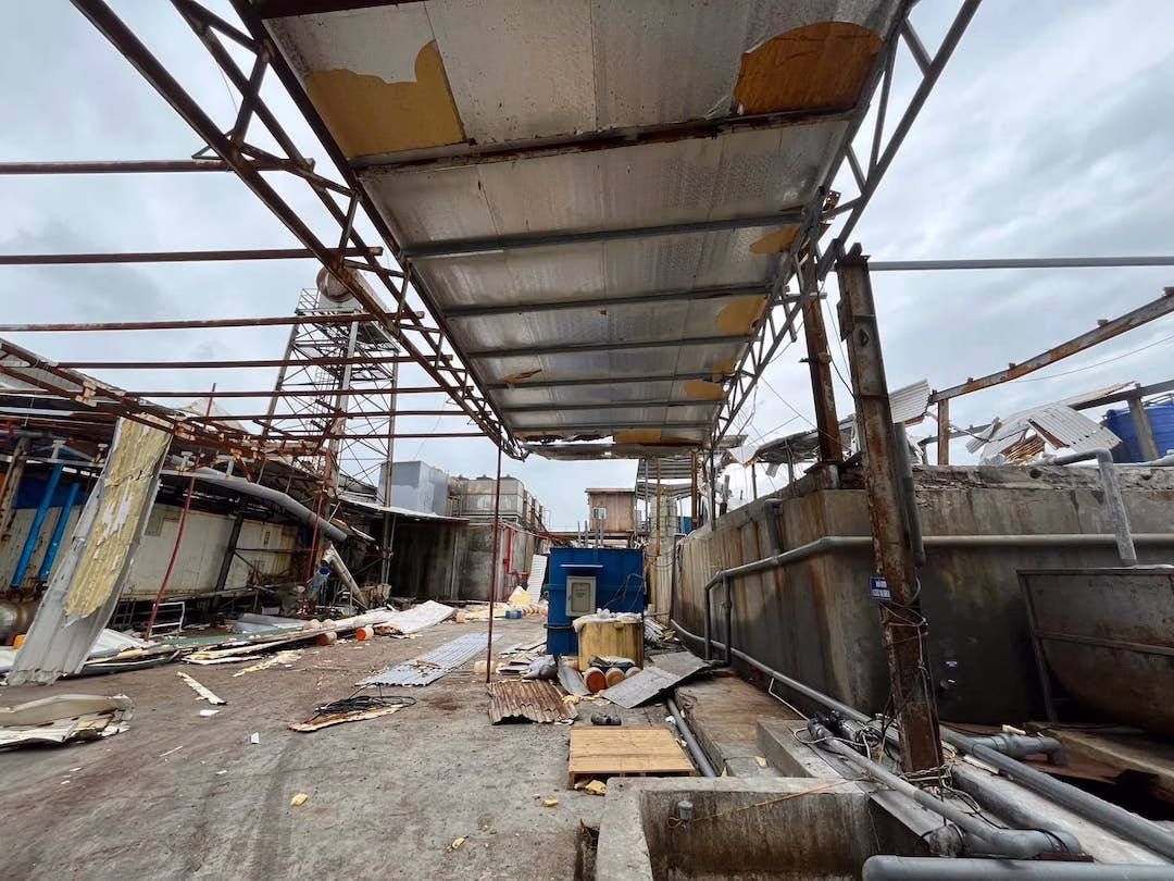 Bảo hiểm phi nhân thọ vượt bão Yagi: Chiến lược, lợi nhuận và dự báo 2025