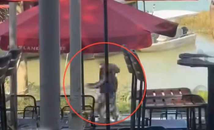 Huế: Cảnh rượt chém người tại quán cà phê ven sông Hương – Cập nhật vụ việc và phản ứng của công an