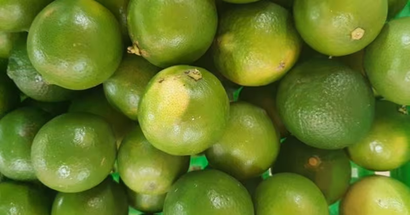 3 bí quyết uống nước chanh ấm đúng cách để tránh hại sức khỏe