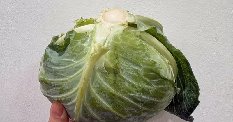 5 Lợi ích bất ngờ khi đưa rau bắp cải vào thực đơn hàng tuần