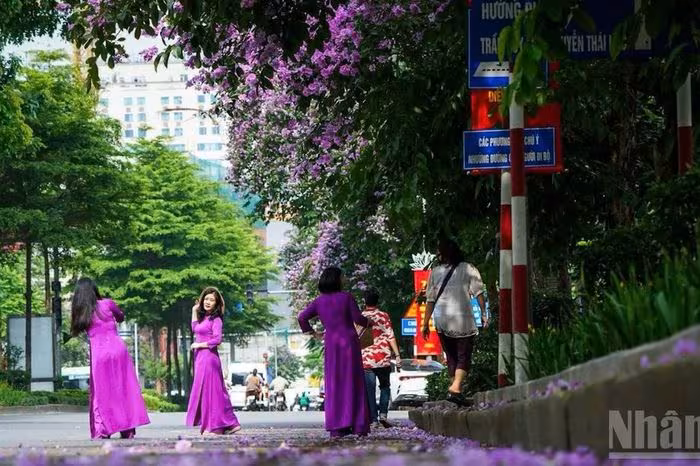 5 xu hướng du lịch 2026: Trải nghiệm sâu sắc, cá nhân hoá & sức khỏe