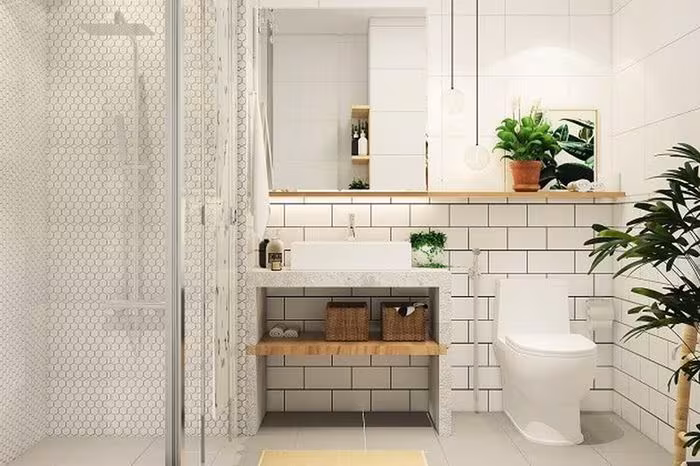 6 cây cảnh đẹp cho nhà vệ sinh: hút mùi, cải thiện phong thủy & vị trí nên tránh