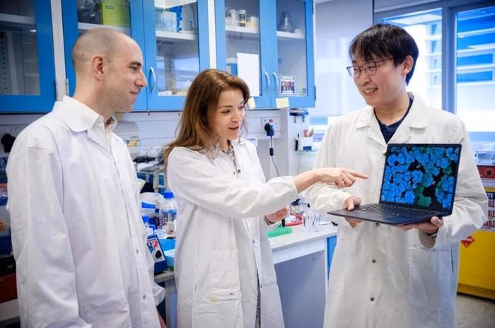 Catalase vô hiệu hoá vi khuẩn kháng thuốc: Giải pháp mới cho bệnh nhân đái tháo đường