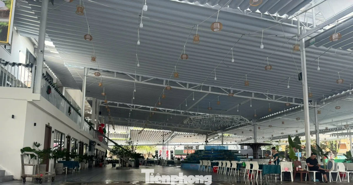 9 khu đất vàng quận 1‑3 biến thành vườn hoa tạm cho Tết Bính Ngọ 2026