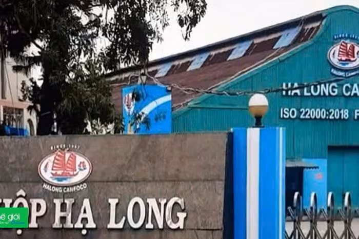 ASFV 120 tấn thịt lợn tại Đồ hộp Hạ Long: Rủi ro và cách bảo vệ