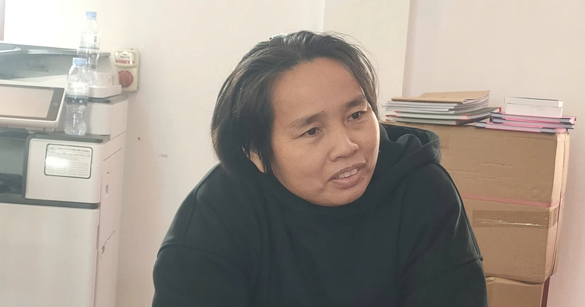 Bắt giữ Hồ Thị Hải vì lợi dụng tự do dân chủ: Chi tiết vụ án