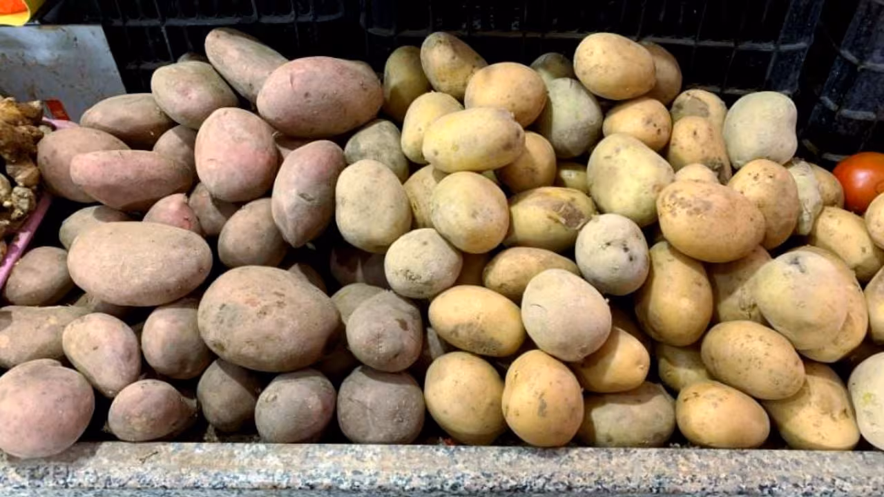 Bí quyết phân biệt khoai tây bở vs khoai tây giòn – Chọn đúng loại cho mọi món ăn