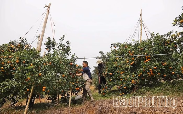 Biện ph&aacute;p treo c&agrave;nh để giảm g&aacute;nh nặng