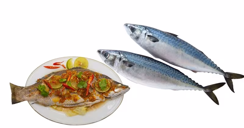 Cá ít xương, thịt mềm – Thực phẩm Omega‑3 lý tưởng cho mọi lứa tuổi
