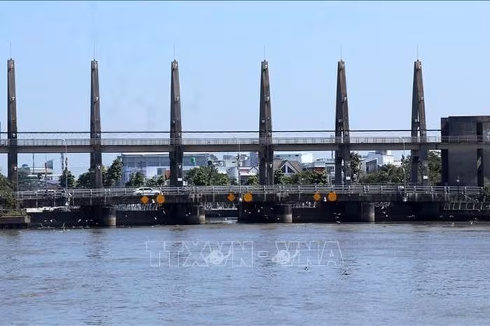 Cảnh báo độ mặn 4‰ xâm nhập sâu nội đồng An Giang: Rủi ro & biện pháp