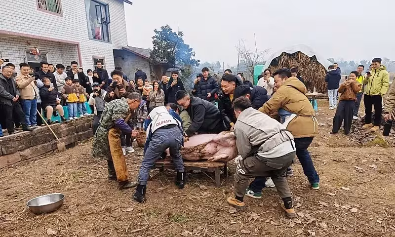 Câu chuyện “đụng lợn” 10.000 khách: Khi lời kêu gọi mạng xã hội thành lễ hội Tết