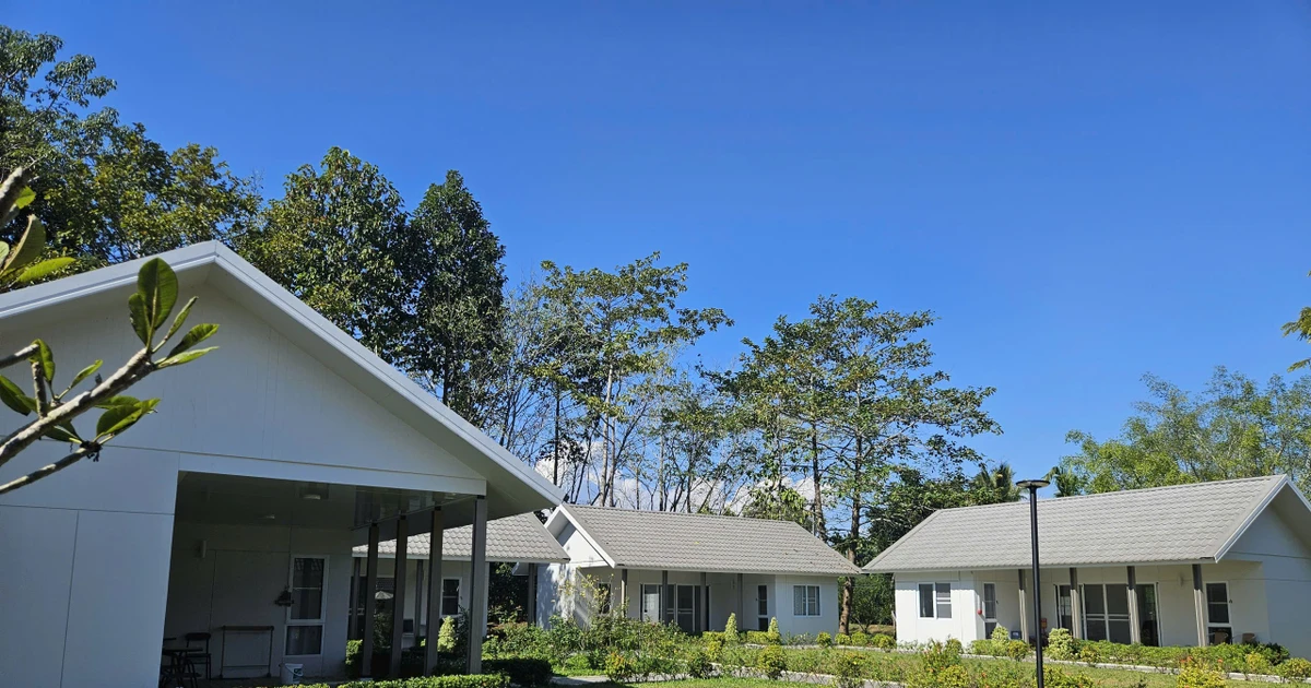 Cen EcoTech mở 100 suất học bổng Chuyên viên Chăm sóc – Đầu tư nguồn nhân lực cho “kinh tế bạc”