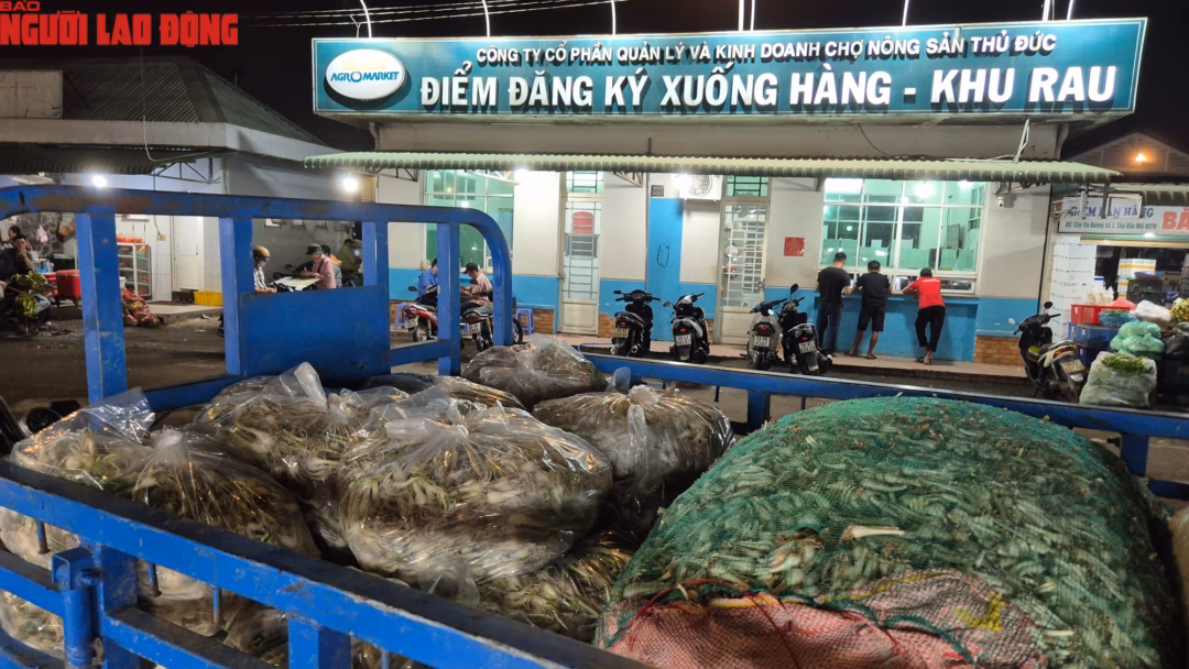 Cận cảnh khu chợ kiệu Tết lớn nhất TP.HCM - Ảnh 3