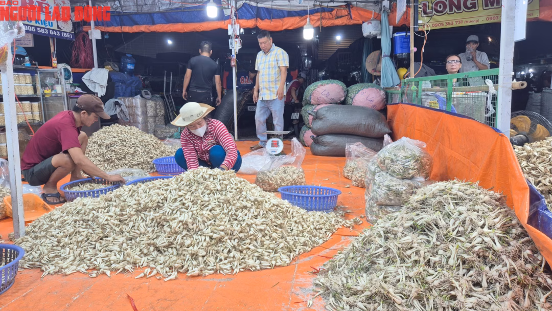 Cận cảnh khu chợ kiệu Tết lớn nhất TP.HCM - Ảnh 5