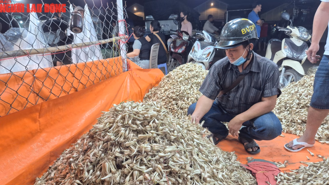 Cận cảnh khu chợ kiệu Tết lớn nhất TP.HCM - Ảnh 6