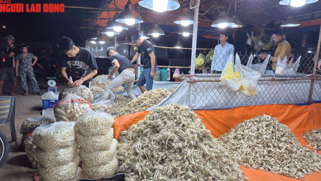 Cận cảnh khu chợ kiệu Tết lớn nhất TP.HCM - Ảnh 8