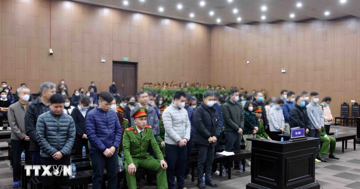 Chuỗi hành vi nhận hối lộ tại Cục An toàn Thực phẩm: Phân tích vụ án và hậu quả pháp lý