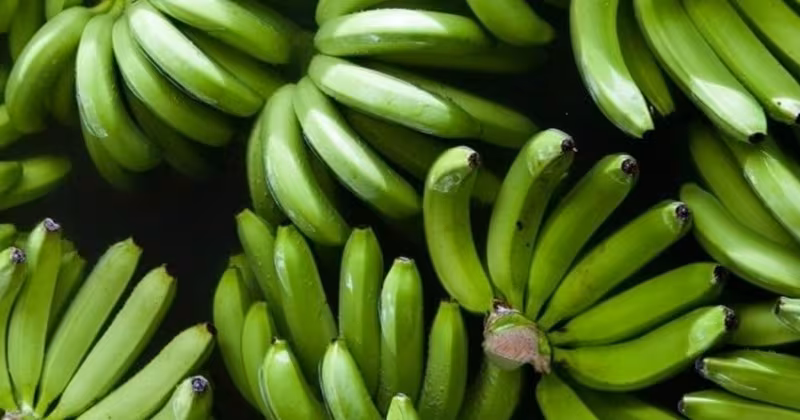 Chuối xanh giảm cân: Lợi ích thực tế và cách ăn đúng cách