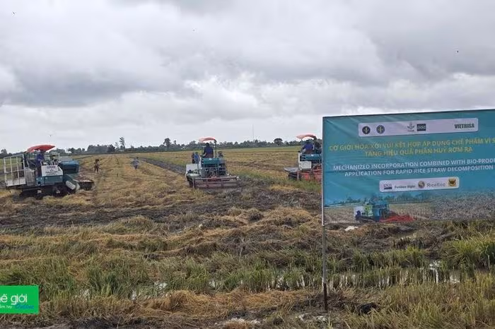 Cơ giới hoá nông nghiệp ĐBSCL: Cơ hội và thách thức trong đề án 1 triệu ha