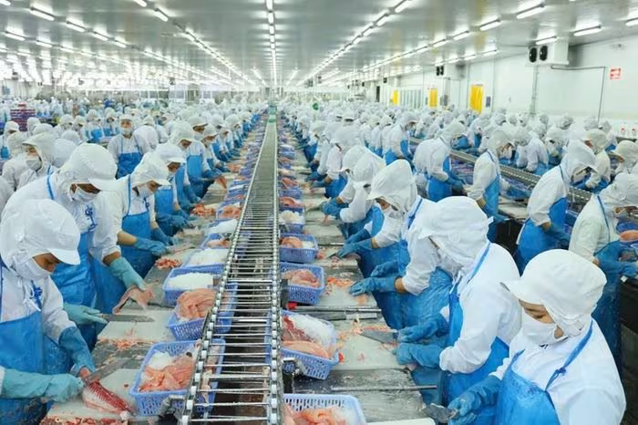 Con Chủ tịch Vĩnh Hoàn mua 5,7 triệu cổ phiếu VHC: Niềm tin trong giai đoạn giá thấp