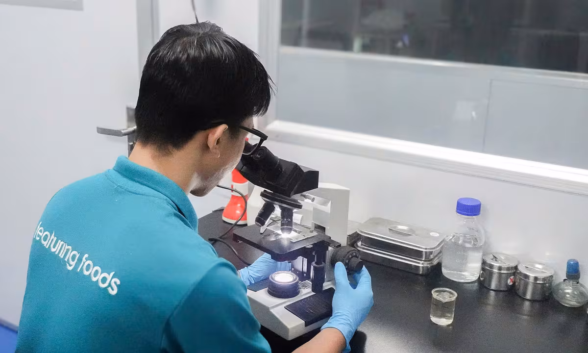 Công nghệ nuôi cá tra hiện đại: Vaccine, chất lượng nước và phúc lợi động vật