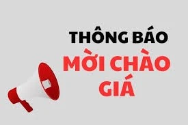 Công ty Xi măng Vicem Hà Tiên mời chào giá tài sản cố định