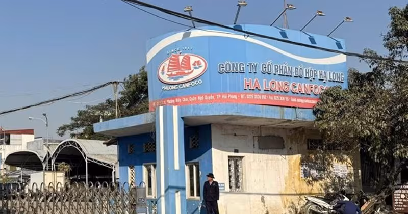 Đồ hộp Hạ Long: Bản án thị trường và hành trình pháp lý