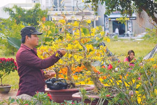 Đồng Tháp bảo đảm mọi nhà vui Xuân, an toàn, tiết kiệm trong Tết Bính Ngọ 2026