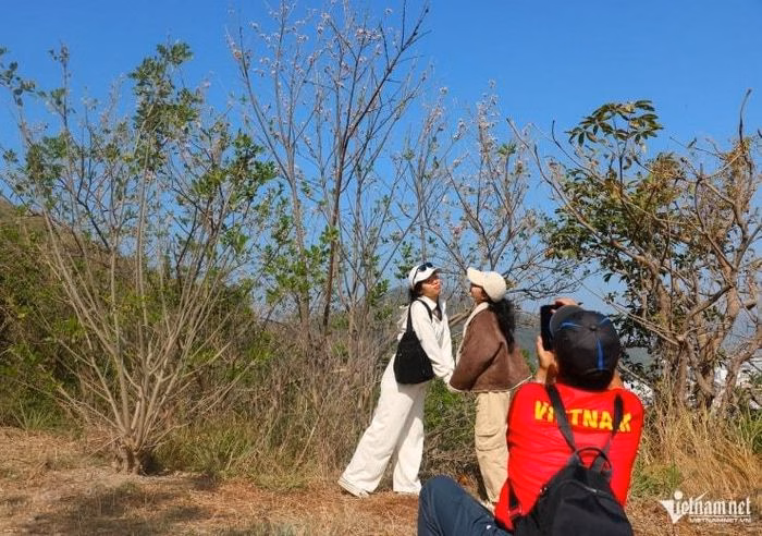 Du kh&aacute;ch chụp ảnh tại đồi Con Heo