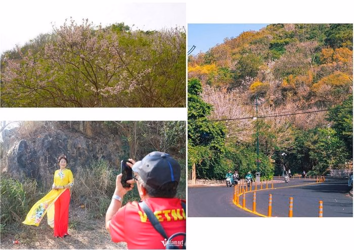 Du kh&aacute;ch thưởng thức kh&ocirc;ng gian b&igrave;nh y&ecirc;n