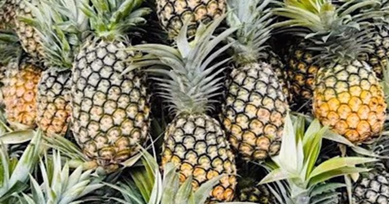 Dứa có thể gây trào ngược axit? Hướng dẫn thời điểm ăn an toàn và lợi ích thực tế