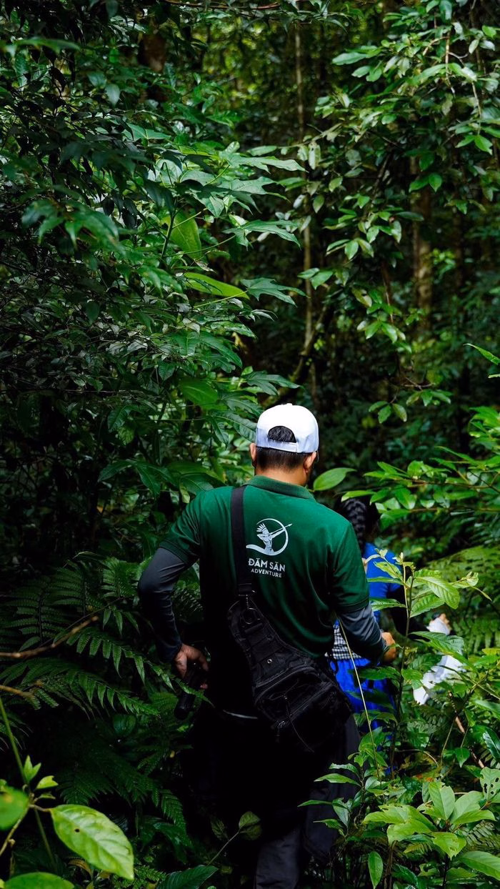 Đường trekking hoang sơ tới th&aacute;c H&ugrave;ng Ng&agrave;n, rừng gi&agrave; Quảng Ng&atilde;i