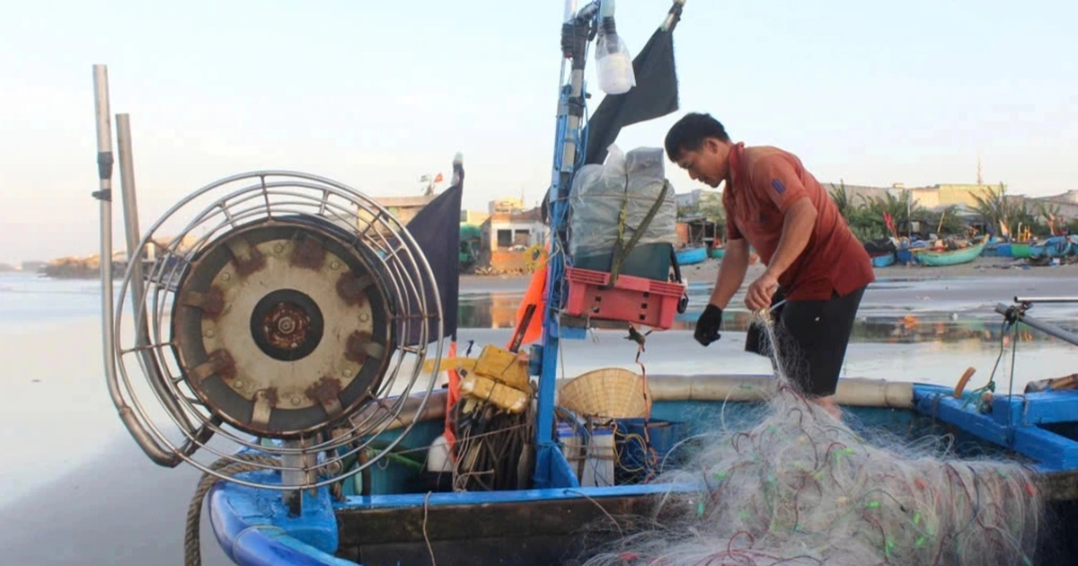 FIP Vũng Tàu: Hợp tác công tư đưa bột cá Việt tới nhãn xanh quốc tế