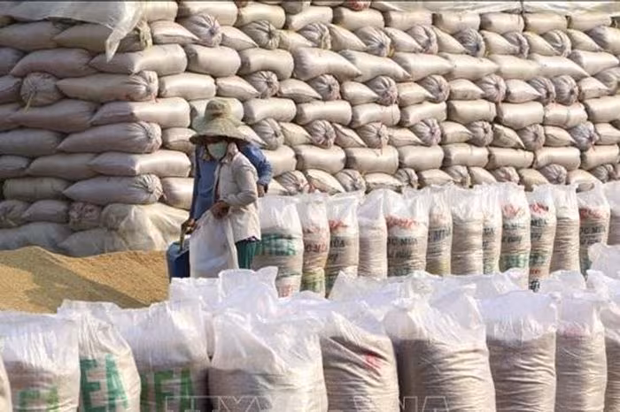 Gạo châu Á chững giá: Nhu cầu nhập khẩu giảm kéo giá xuống