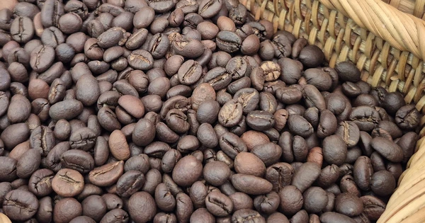 Giá cà phê hôm nay giảm nhẹ, Robusta & Arabica giảm; tiêu thụ toàn cầu kỷ lục