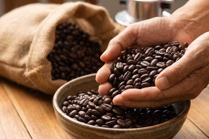 Giá cà phê nội địa 11/1/2026: Điều chỉnh nhẹ, cân bằng cung‑cầu