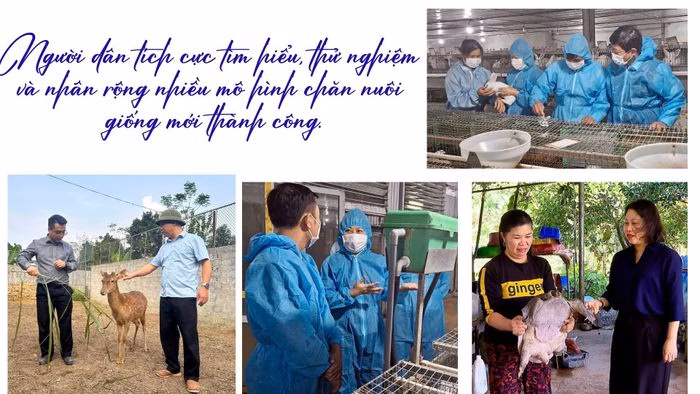 Gia đ&igrave;nh chị Đo&agrave;n Thị Huyền nu&ocirc;i ba ba với hệ thống ao nu&ocirc;i hiện đại