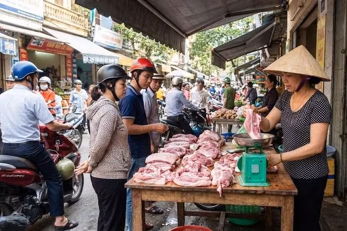 Giá heo hơi 10.1: Duy trì mức cao, tiềm năng tăng trước Tết Nguyên Đán