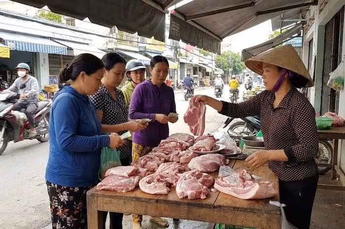 Giá heo hơi ngày 11/1/2026: Đà tăng mạnh, xu hướng lan rộng khắp cả nước