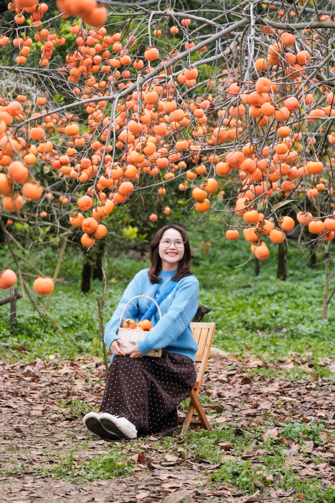 Cảnh hoa đ&agrave;o tại H&agrave; Giang
