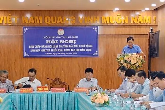 Hội Luật Gia Cà Mau 2025: Bản Đồ Hoạt Động Toàn Diện và Định Hướng 2026
