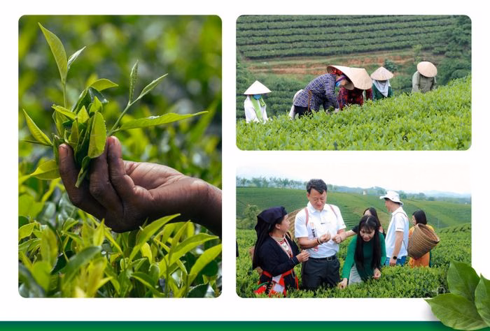 Hội thảo c&ocirc;ng nghệ số cho n&ocirc;ng d&acirc;n