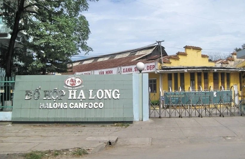 Hơn 170 tấn thịt nhiễm dịch tả lợn và Salmonella của Công ty Đồ hộp Hạ Long bị tiêu hủy