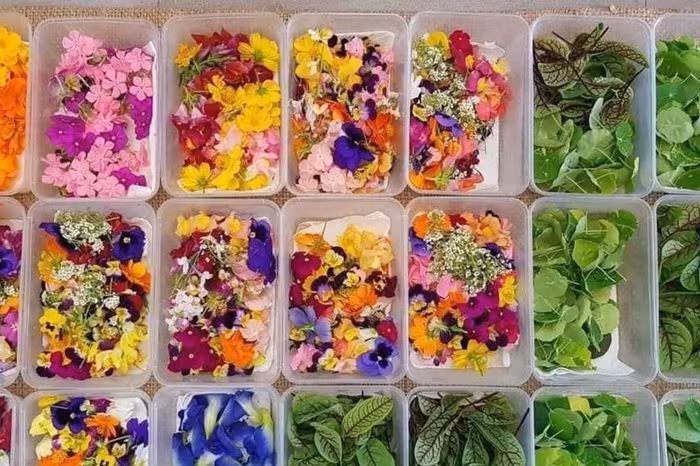 HTX Bắc Sông Hồng: Đột phá cạnh tranh với dịch vụ thực phẩm đa dạng và giá ổn định