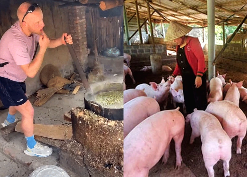 Khách Tây nấu cám lợn: Trải nghiệm nông thôn Việt Nam gây cười
