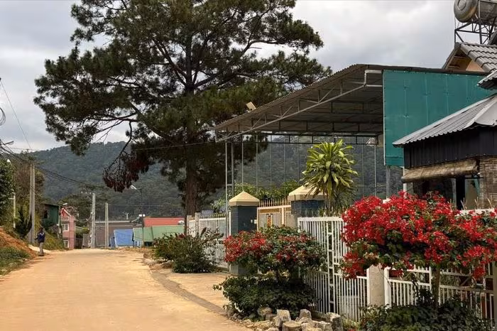 Khám phá Làng Đại Dương – Hồn K’ho giữa núi Voi, Lâm Đồng