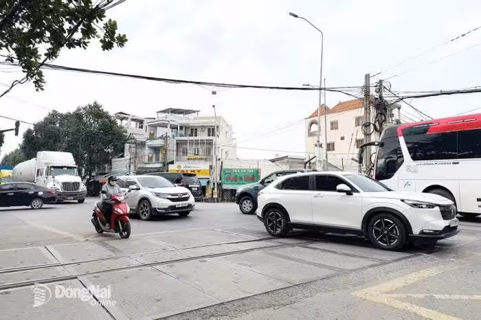 Khám phá nguồn gốc và di sản của Chợ Đồn – Biên Hòa, nơi lịch sử Tây Sơn giao thoa